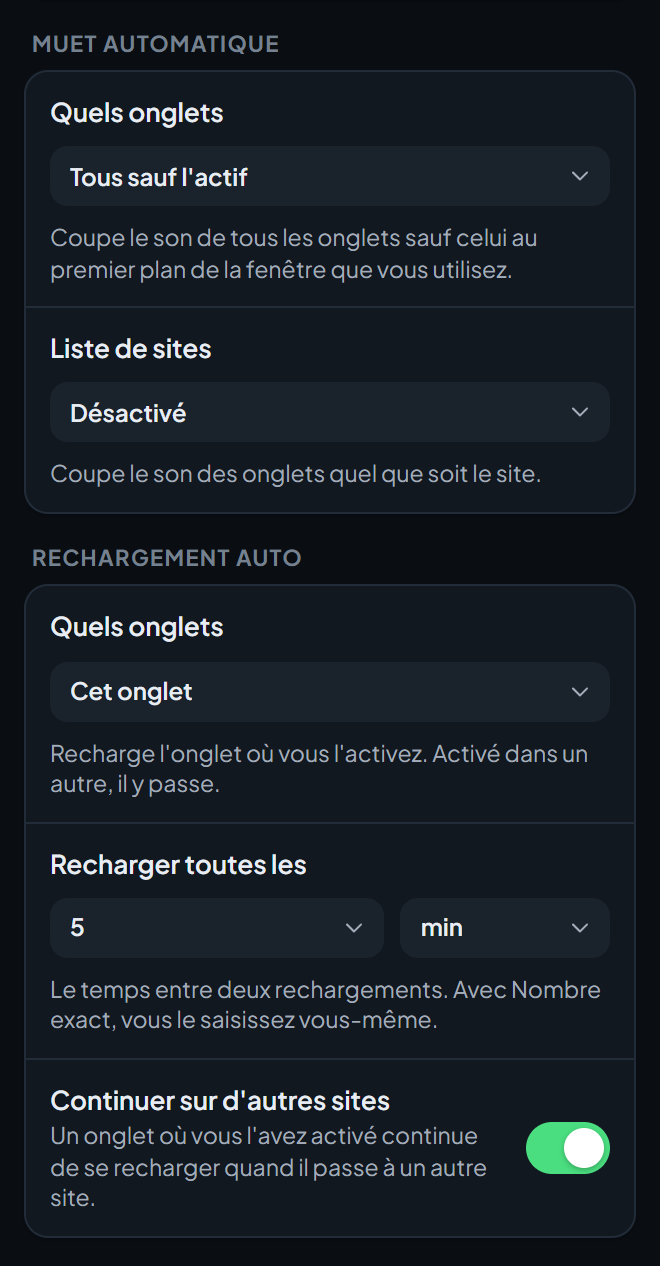 Le bas de l'écran des paramètres Outils et protection, avec les options de Muet automatique et de Rechargement auto.
