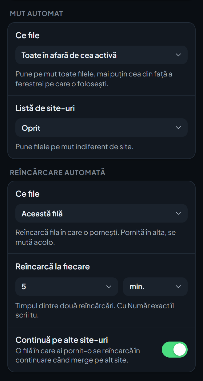 Partea de jos a ecranului de setări Instrumente și protecție, cu opțiunile pentru Mut automat și Reîncărcare automată.