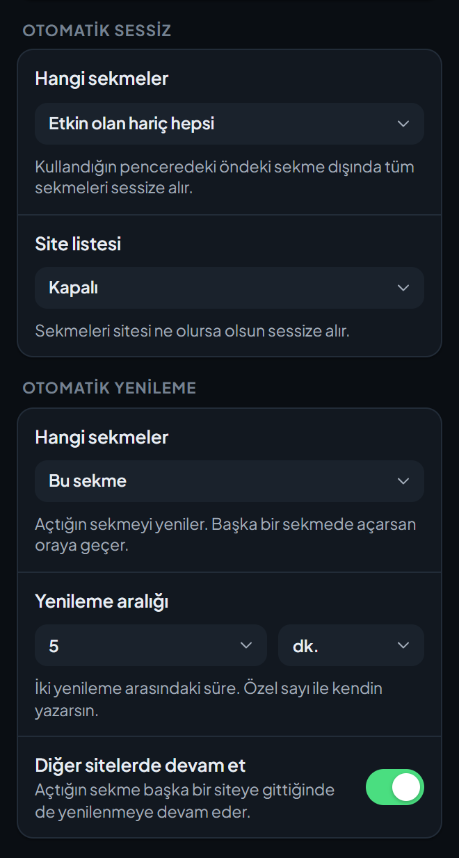 Araçlar ve koruma ayarları ekranının alt kısmı, Otomatik sessiz ve Otomatik yenileme seçenekleriyle.